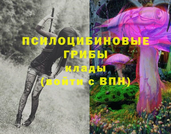 PSILOCYBIN Волосово