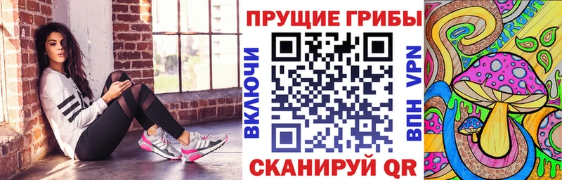ОМГ ОМГ как войти Орехово-Зуево Псилоцибиновые грибы ЛСД наркота