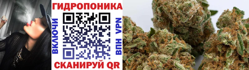 Марихуана марихуана  Орехово-Зуево 